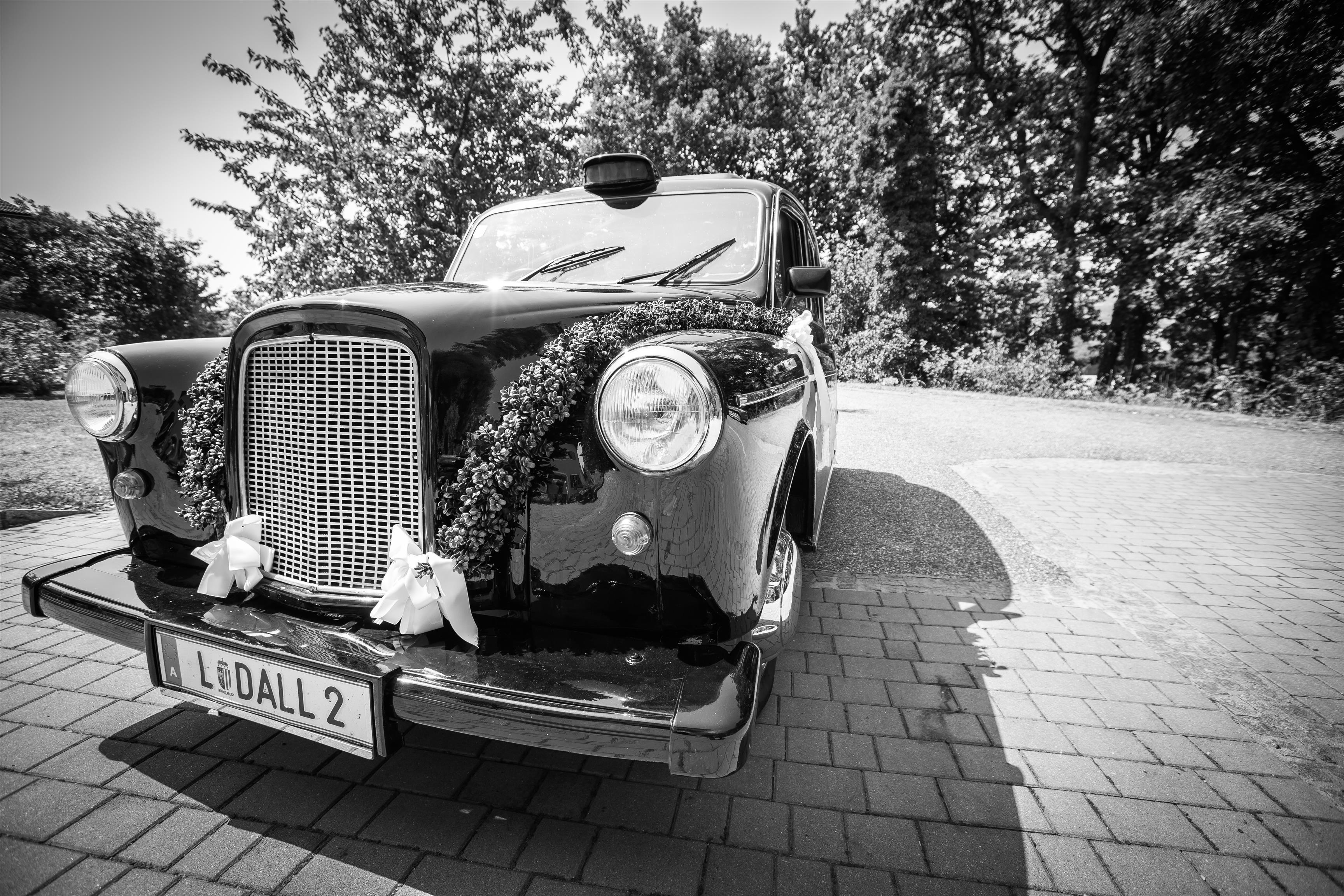 Gutenthaler Photography