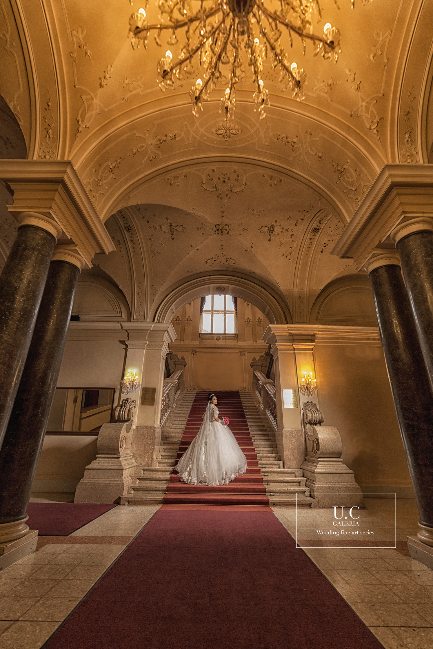 U.C Photography & Videography