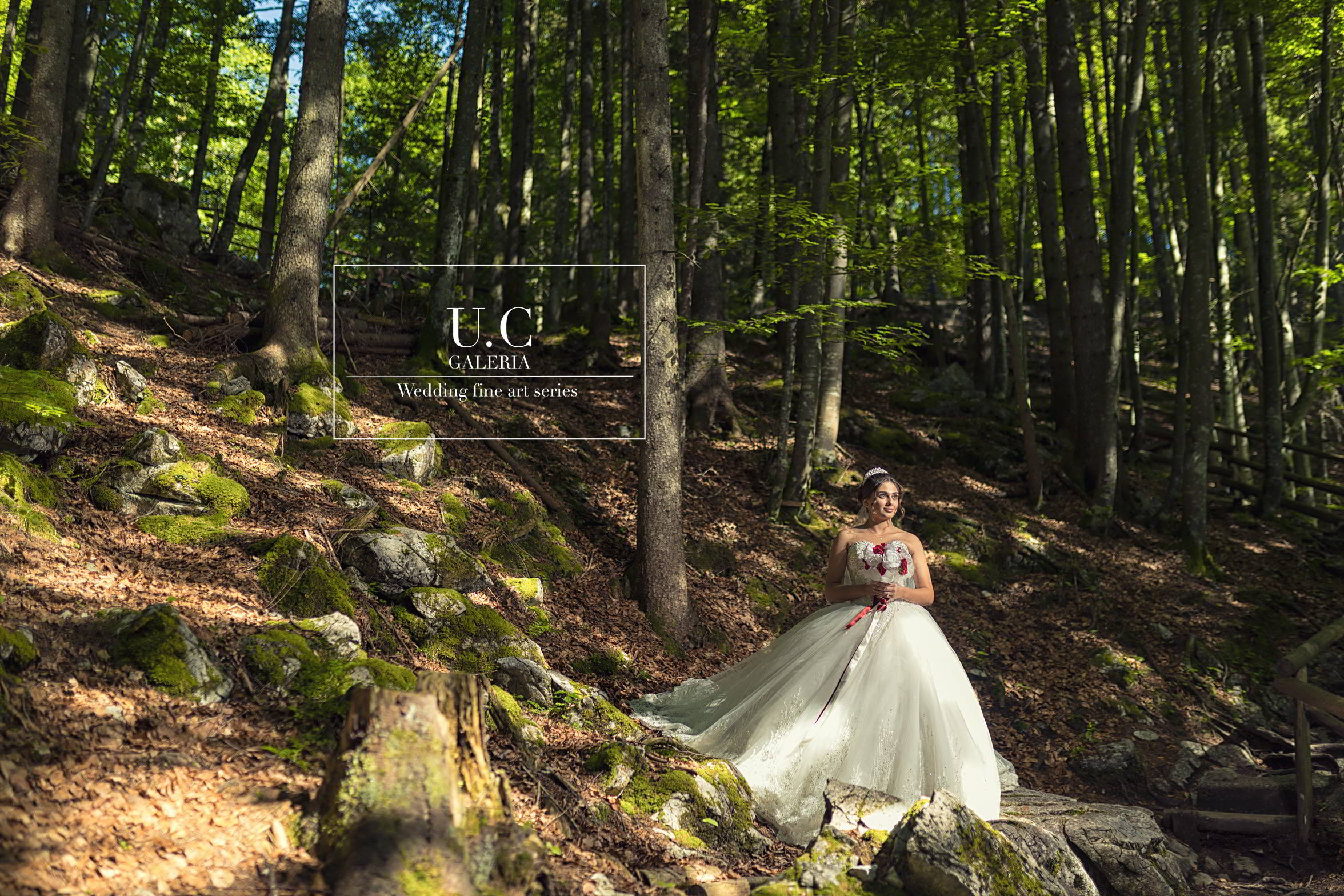 U.C Photography & Videography