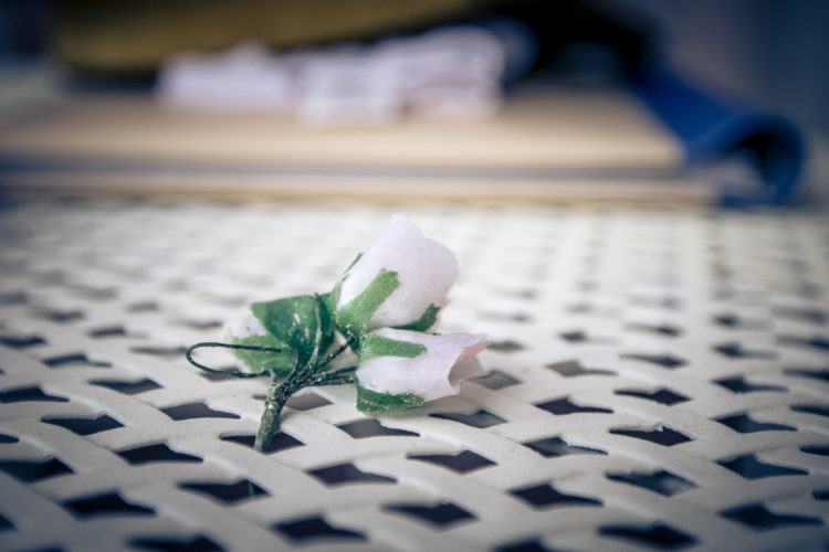 DB-Photography
