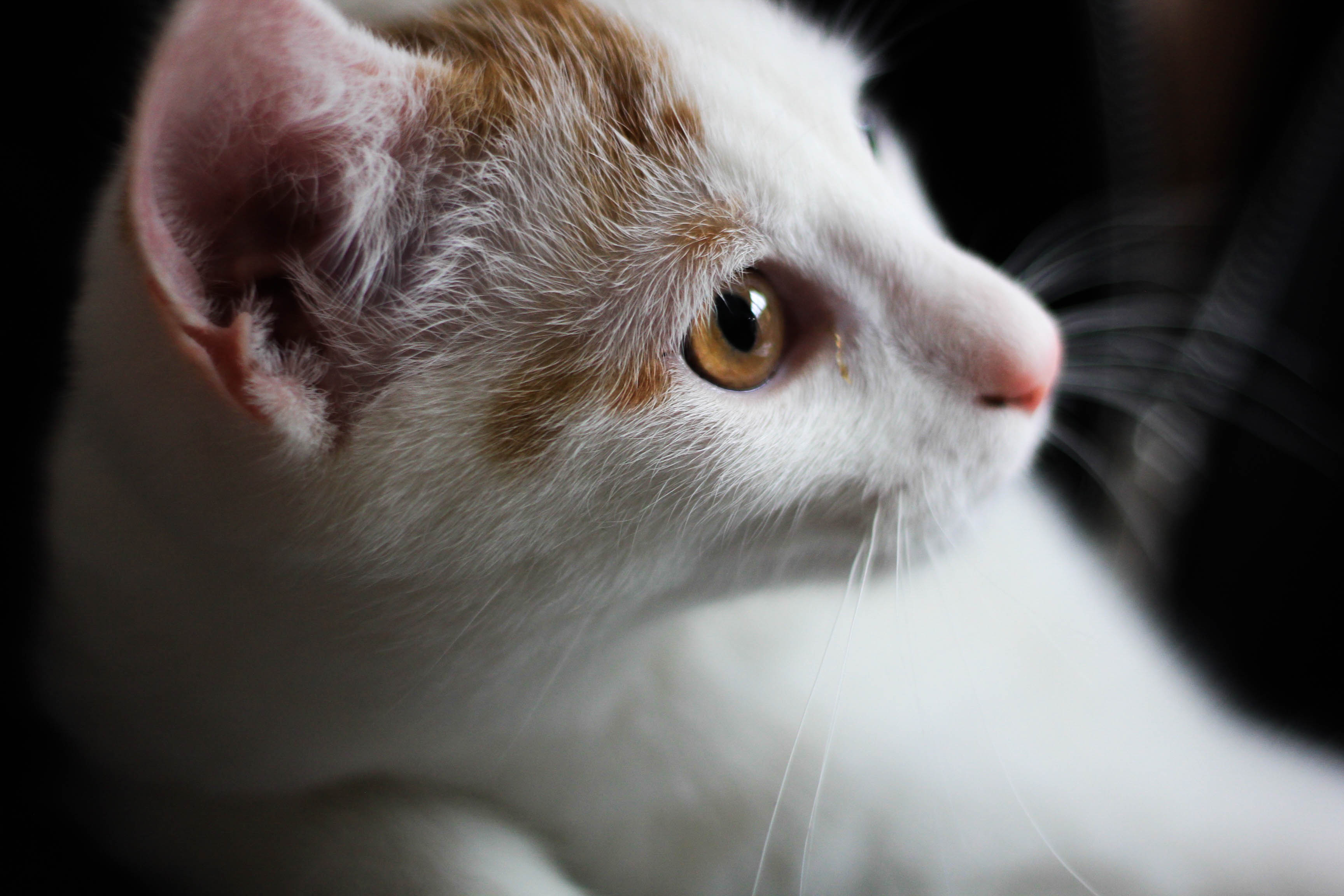 JuliaSamesPhotography