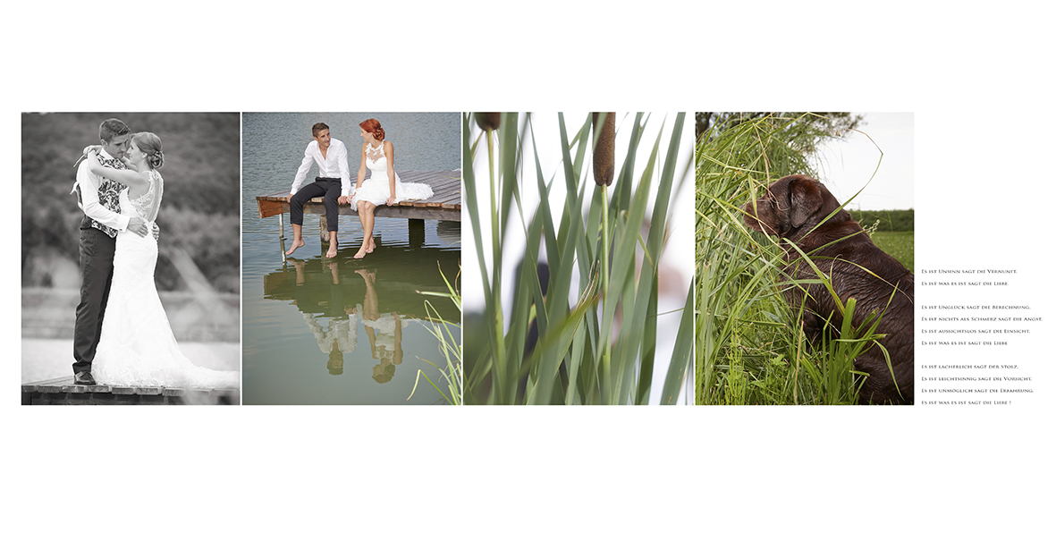 fotografie iris