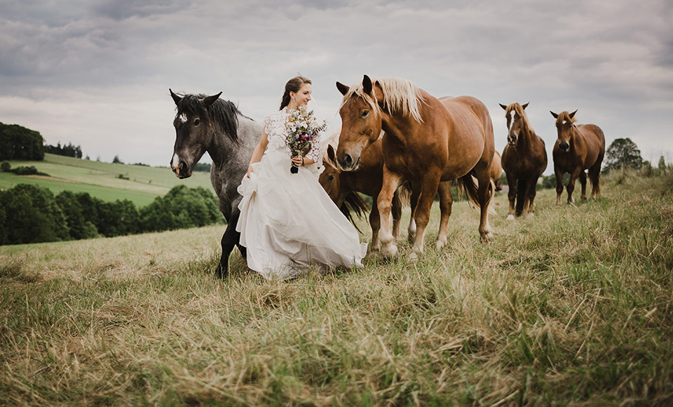 bella & bandit photography