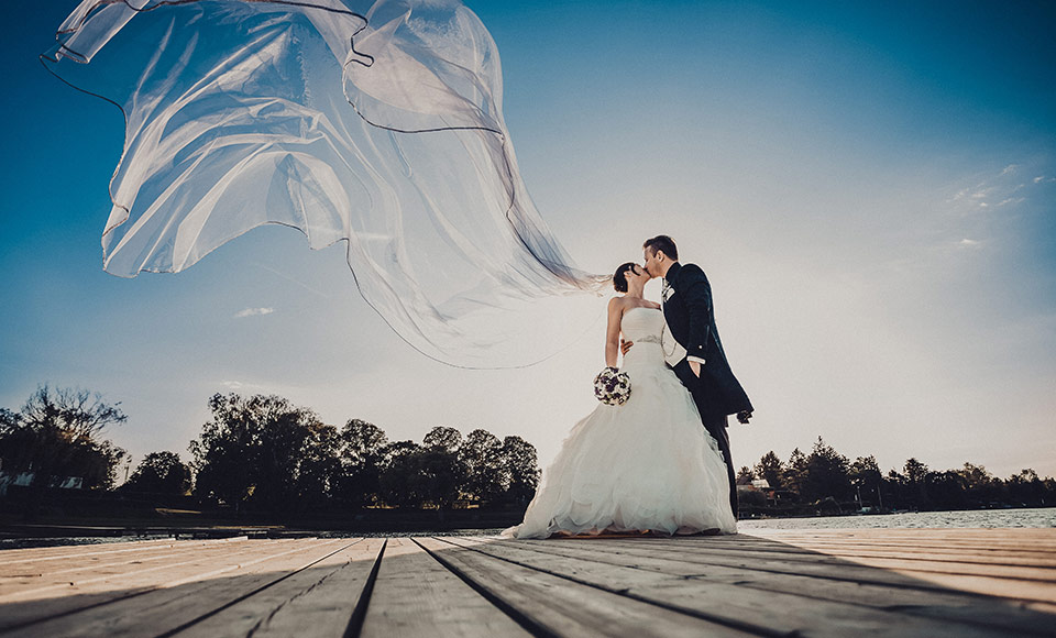 bella & bandit photography